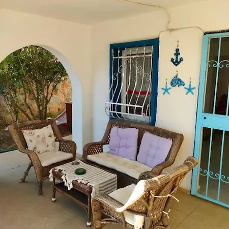 Garden Floor With Special Pool Vakantiehuis Bodrum